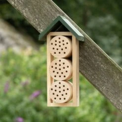 Bee Hotel Ustica