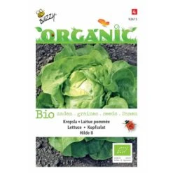 Buzzy® Organic Lettuce - Hilde II (BIO)