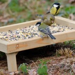 Premium Table Bird Seed Mix -Bird Supply Store 93035 13045 2