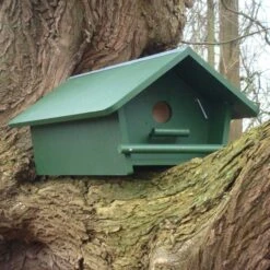 Little Owl Apex Nest Box