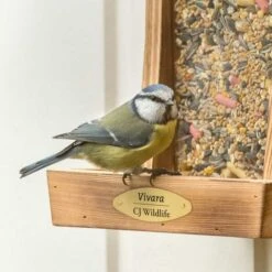 Premium Table Bird Seed Mix -Bird Supply Store 93065 13045 2