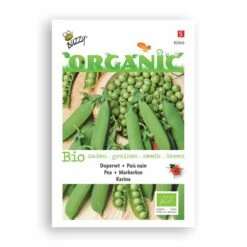 Buzzy® Organic Pea - Karina (BIO)