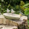 Licony Concrete Bird Bath -Bird Supply Store 935820119 7