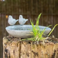 Licony Concrete Bird Bath -Bird Supply Store 935820119 licony waterdish dv 2940
