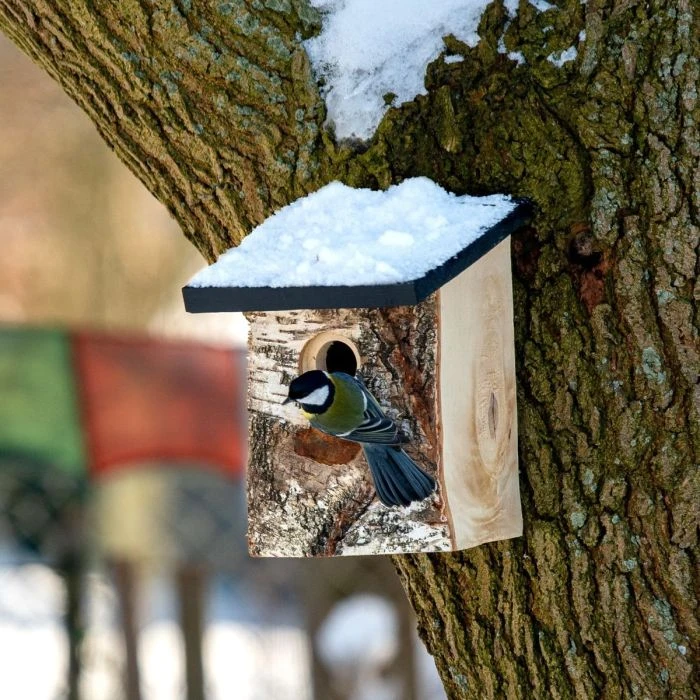 Stavanger 32mm Nest Box 4 Stavanger 32mm Nest Box - Image 2