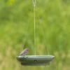 Vesi Hanging Bird Bath -Bird Supply Store 93838 hanging bird bath vesi