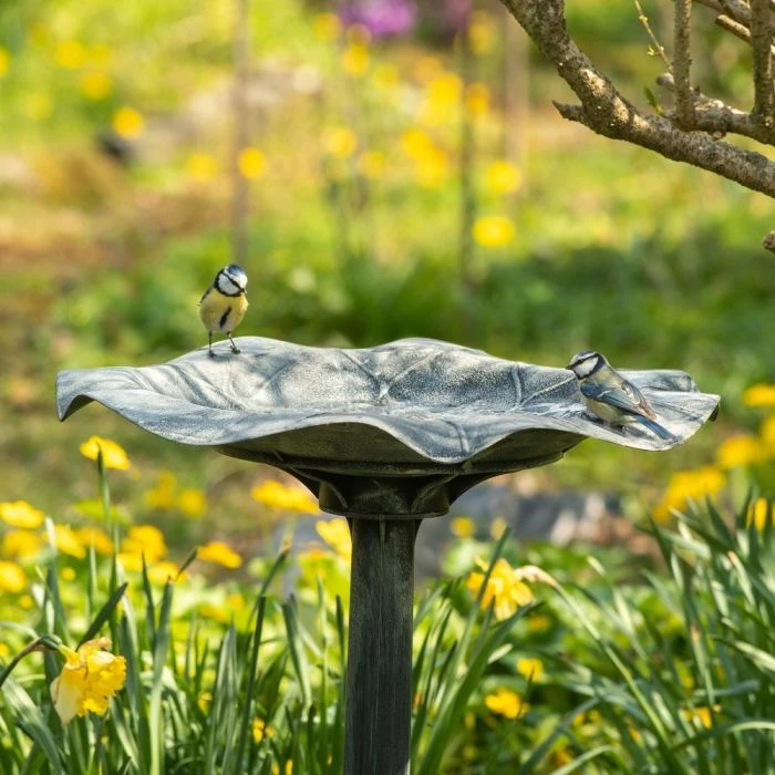 Silbersee Pedestal Bird Bath 4 Silbersee Pedestal Bird Bath - Image 2