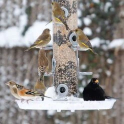 Large Feeder Tray -Bird Supply Store 94061 large feeder tray 33000 conqueror 1