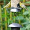 Bird Feeder Link 1 Bird Feeder Link -Bird Supply Store 94072