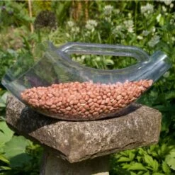 Food Scoop -Bird Supply Store 94101 3