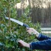 Pruning Saw (with 33cm Blade) 2 Pruning Saw (with 33cm Blade) -Bird Supply Store 94275 1 2