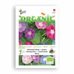 Buzzy® Organic Morning Glory Mixed