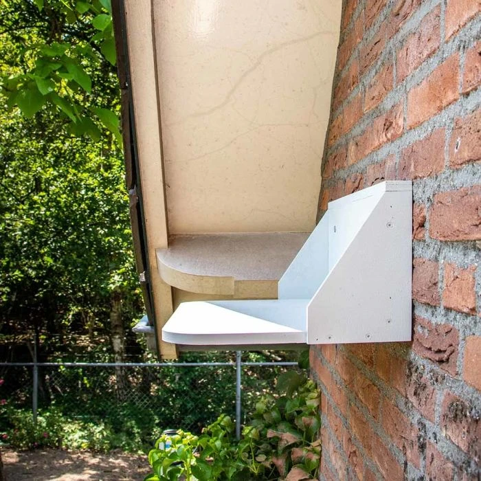 Dropping Board For Swallow And House Martin Nests 4 Dropping Board For Swallow And House Martin Nests - Image 2