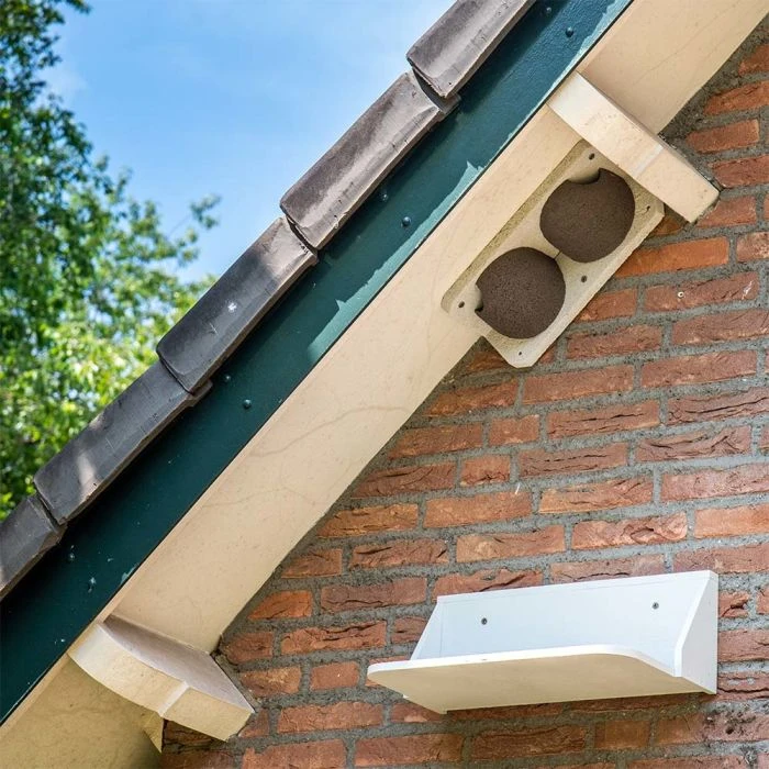 Dropping Board For Swallow And House Martin Nests 3 Dropping Board For Swallow And House Martin Nests