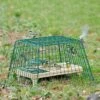 Ground Feeder Guardian -Bird Supply Store 94500 2 1