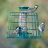 2 Port Bird Seed Feeder With Guardian