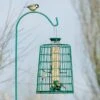 4 Port Bird Seed Feeder With Guardian 1 4 Port Bird Seed Feeder With Guardian -Bird Supply Store 94543 1 3 1