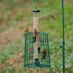 6 Port Bird Seed Feeder With Guardian