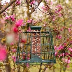 Small Peanut Bird Feeder With Guardian -Bird Supply Store 945450120 beschermpakket mini pindas 23cm 200450120 premium pinda s 2 5kg dv 0748 1