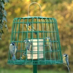 Fat Ball & Peanut Cake Guardian Bird Feeder -Bird Supply Store 94550