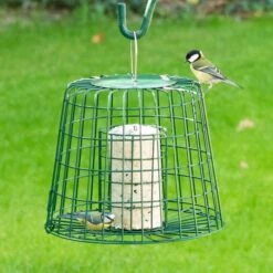 Fat Ball & Peanut Cake Guardian Bird Feeder -Bird Supply Store 945500121