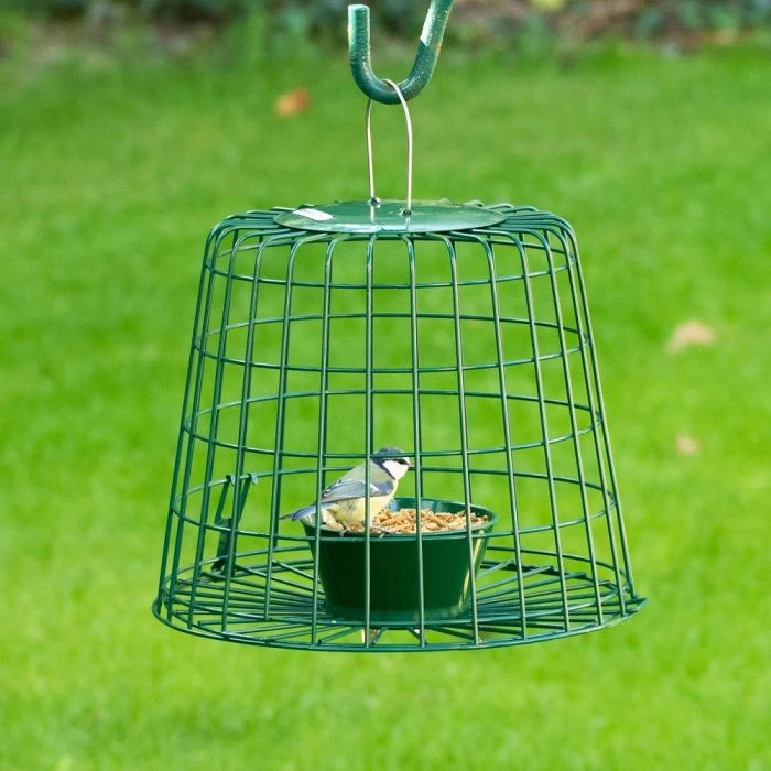 Suet Pellet & Mealworm Guardian Bird Feeder