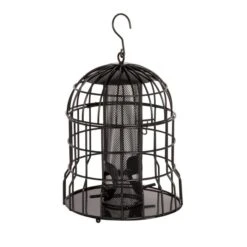 Milan Guardian Bird Seed Feeder -Bird Supply Store 945570119 milan seed feeder guardian qm 6542