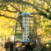 Adventurer 4 Port Bird Seed Feeder With Guardian 2 Adventurer 4 Port Bird Seed Feeder With Guardian -Bird Supply Store 94604 1
