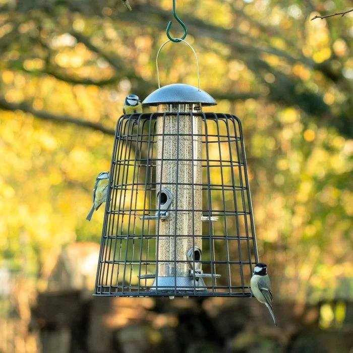 Adventurer 4 Port Bird Seed Feeder With Guardian 3 Adventurer 4 Port Bird Seed Feeder With Guardian