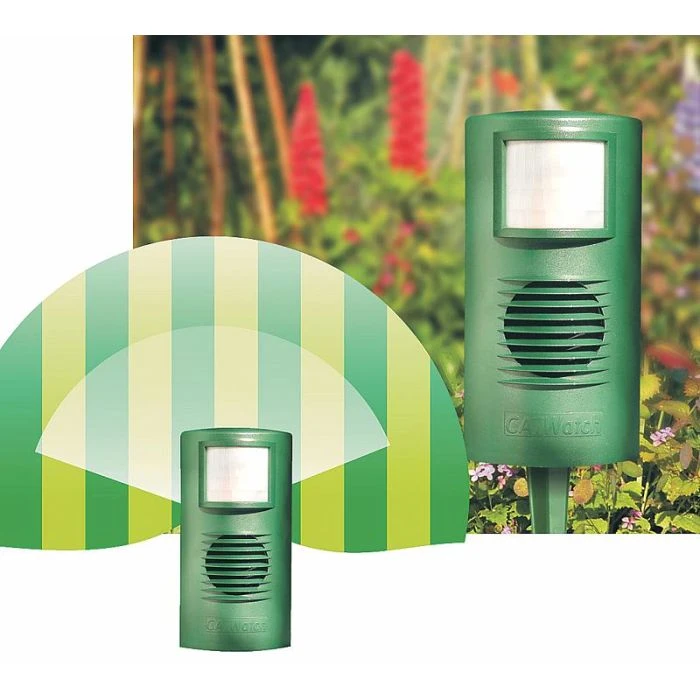 CatWatch & Accessories 3 CatWatch & Accessories - Image 2