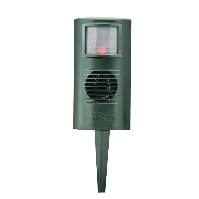 CatWatch & Accessories 5 CatWatch & Accessories - Image 4