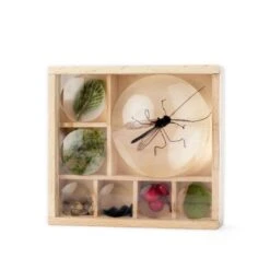 Huckleberry Insect Box -Bird Supply Store 973290119 1