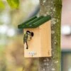 National Trust Great Tit Nest Box 32mm Gift Set -Bird Supply Store 980600121 jvg 7697