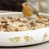 Best Robin Blend Bird Seed Mix -Bird Supply Store 98314 12058