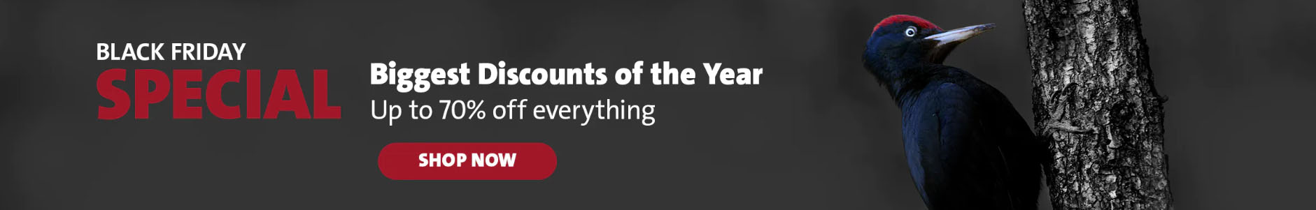 Bird Supply Store -Bird Supply Store DFRHJ