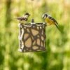 National Trust Anna Recycled Peanut Cake Bird Feeder -Bird Supply Store anna