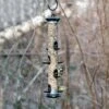 Apollo 8 Port Seed Feeder 2 Apollo 8 Port Seed Feeder -Bird Supply Store apollo 8 bird feeder 311140119