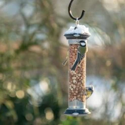 National Trust Apollo Peanut Feeder -Bird Supply Store apollo peanut feeder