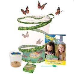 Live Butterfly Garden