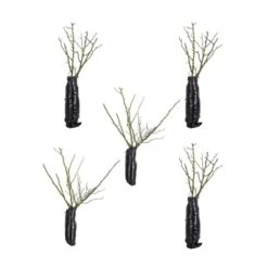 Bee Perfect Rose 'Bijenweelde®' Red - (5x Bare Root) -Bird Supply Store bundle of 5 1 2