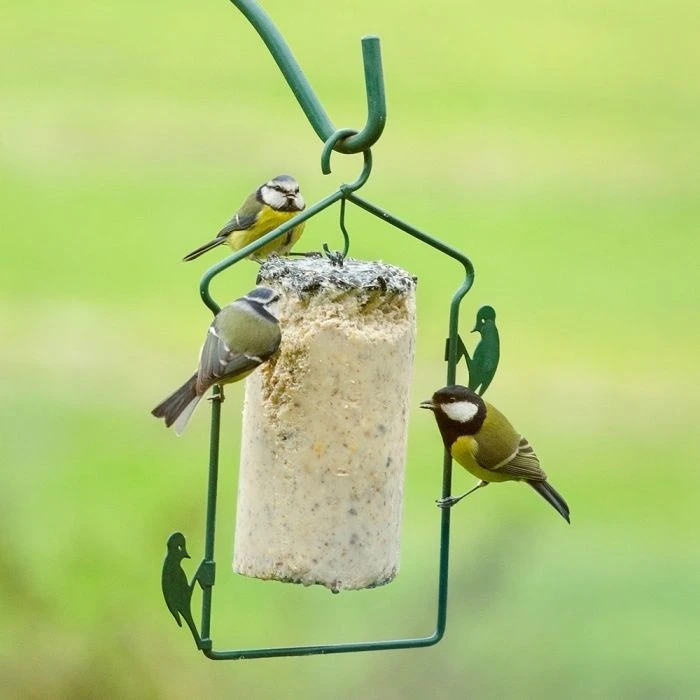 National Trust Seed Peanut Cake (1 Litre) 6 National Trust Seed Peanut Cake (1 Litre) - Image 4