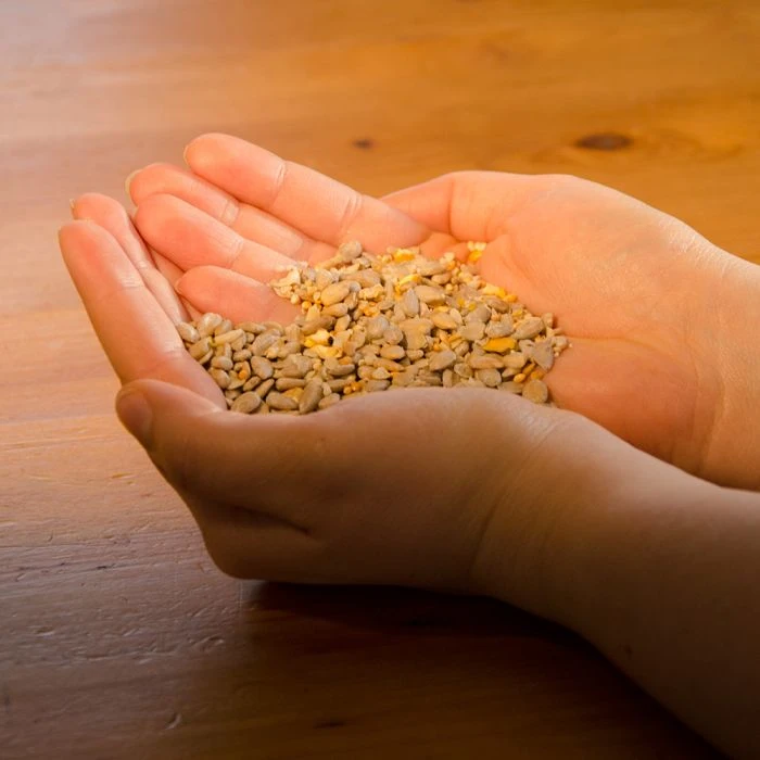 Hi-Energy No Mess Bird Seed Mix 4 Hi-Energy No Mess Bird Seed Mix - Image 2