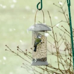 Adventurer Peanut Feeder 8 Adventurer Peanut Feeder -Bird Supply Store erdnusssaule maximum 24cm 33025 1