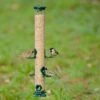 National Trust 6 Port Metal Seed Feeder -Bird Supply Store es 31050 1