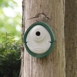 WoodStone® Alicante 32mm Nest Box (Green)