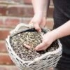 Bird Feeder Seed Mix -Bird Supply Store futtersaeulen mischung 15104 1 1 1