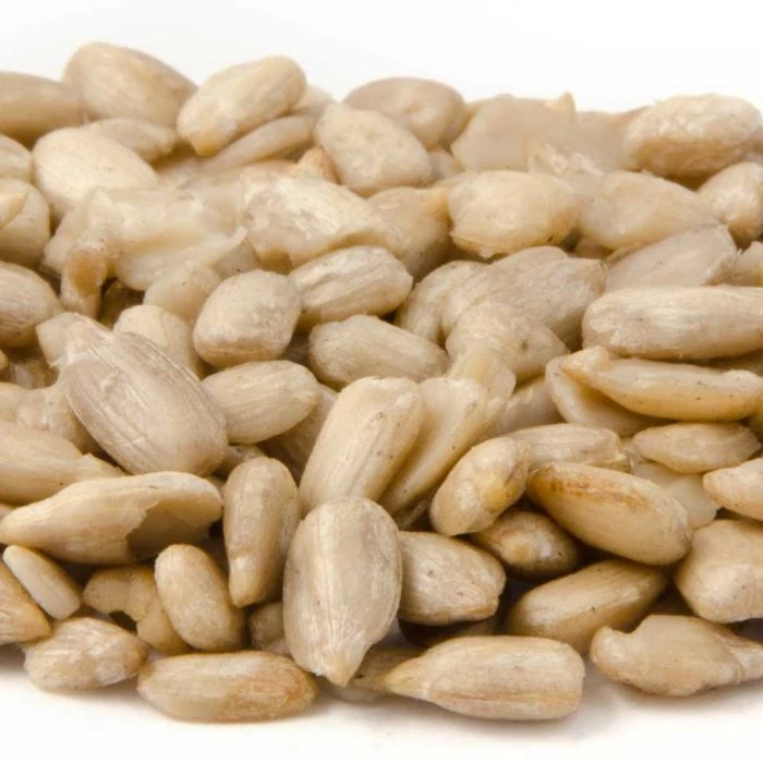 Premium Whole Sunflower Hearts 4 Premium Whole Sunflower Hearts - Image 2