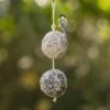 Giant Fat Balls On A Rope - Duo