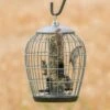 Aura Bird Seed Feeder Guardian Pack -Bird Supply Store guardian balloon aura 35109
