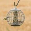 National Trust Athena Bird Seed Guardian Feeder -Bird Supply Store guardian globe athena 35111